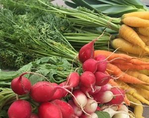 Tuscarawas County Farmer’s Markets Open this Week