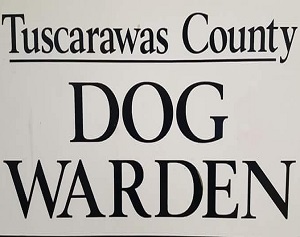 Tuscarawas County Dog Pound Avoids Outbreak