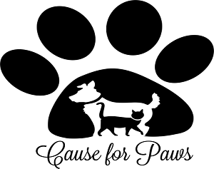 Tuscarawas County Humane Society Holds Fundraising Gala