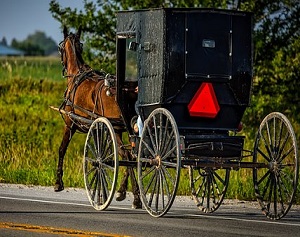 Amish Buggy Accidents Sparks Safety Reminder