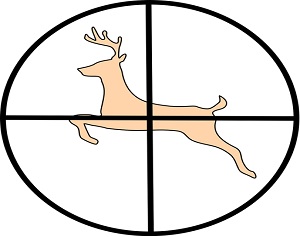 Hunters Beat Three-Year Average on Deer Gun Opening Day