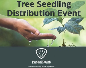 Tree Seedlings Still Available at TCHD