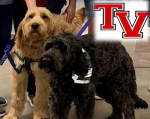Tusky Valley Acquires Full-Time Therapy Dogs