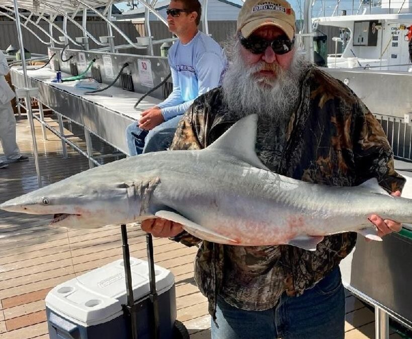 William Harold Arter Jr. – September 22, 2025