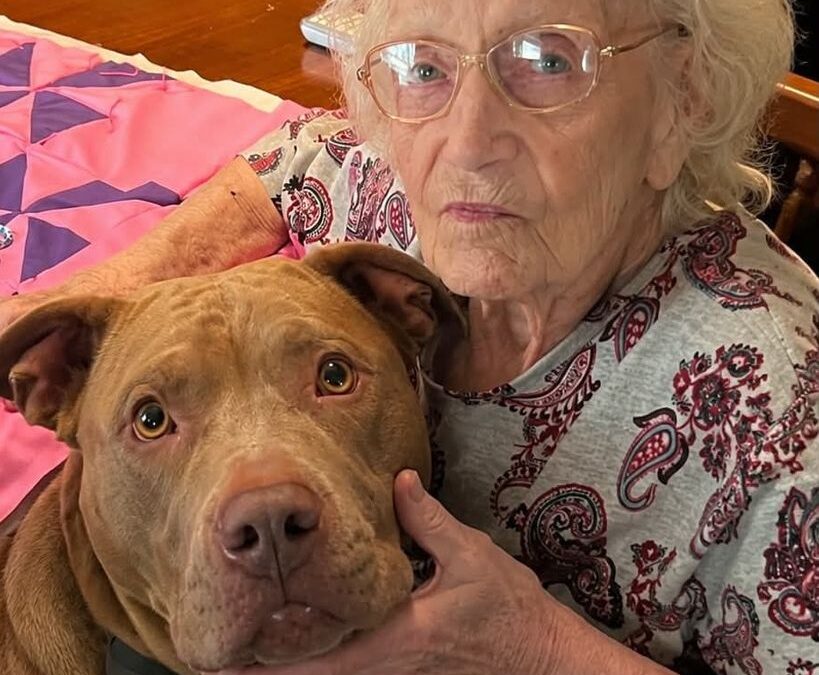 Dessie Burgess – June 5, 2026